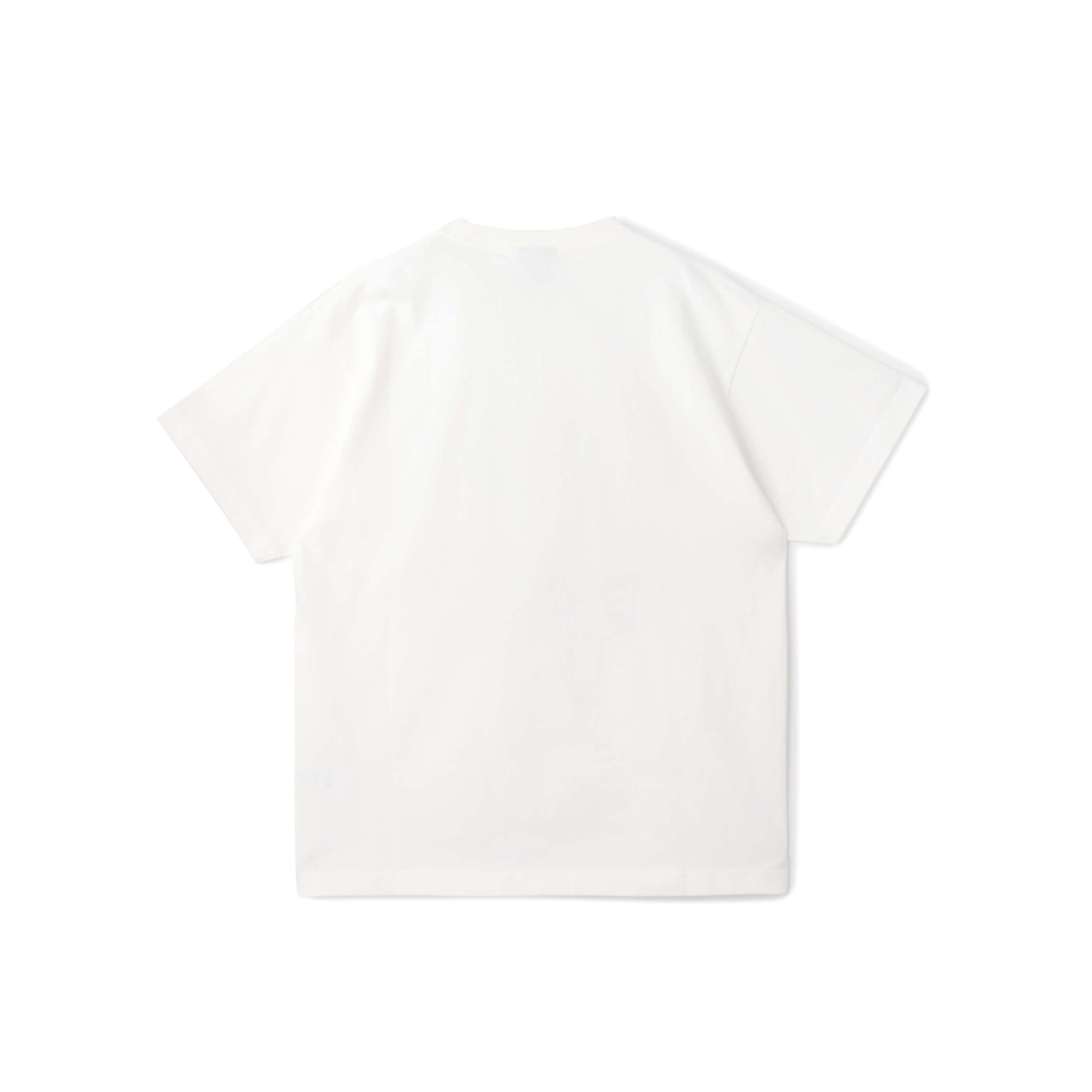 Tシャツ　彩-あや- 第二景